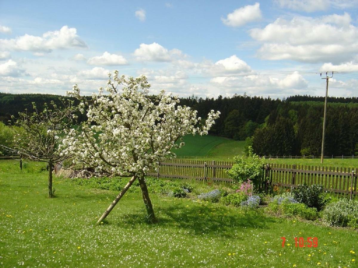 Pension Steiger Bad Griesbach  Exterior photo